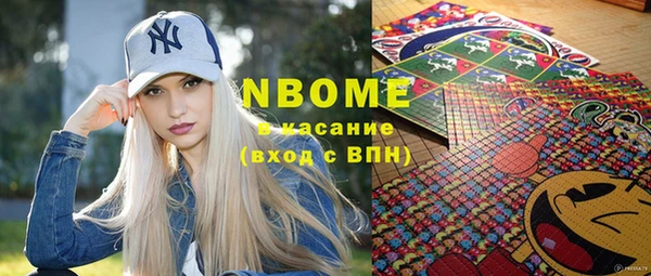 хмурый Алзамай