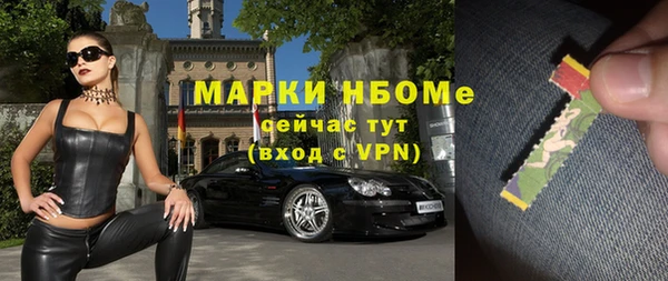 хмурый Алзамай